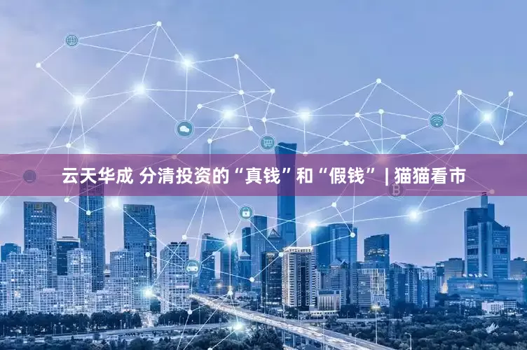 云天华成 分清投资的“真钱”和“假钱” | 猫猫看市